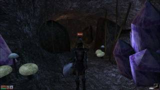 Let's Play Morrowind Part 13 - Silipund?  What Silipund?