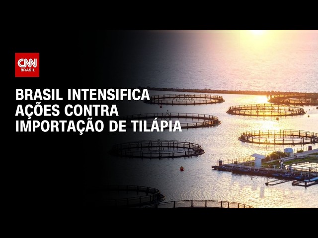 Brasil intensifica ações contra importação de tilápia | CNN AGRO NEWS