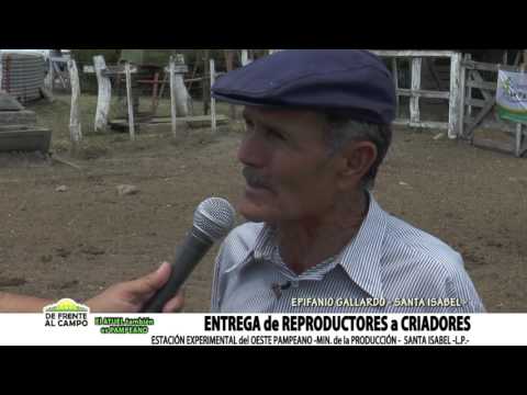 DE FRENTE AL CAMPO junto al SECTOR GANADERO -EPIFANIO GALLARDO-