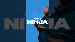 Download lagu Soprano - Ninja (Extrait audio) mp3