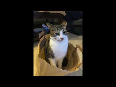 (FREE) guitar hyperpop x pop punk type beat "useless" glaive x mgk x brakence