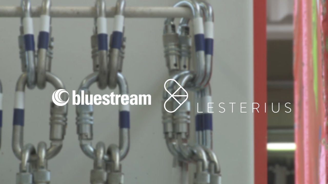 The development of software ensuring the safety of employees - Bluestream