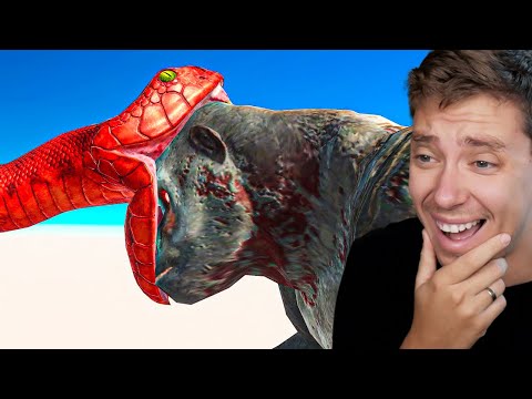 Reacting To the FUNNIEST Monkey moments in ARBS (Animal Battle Revolt)