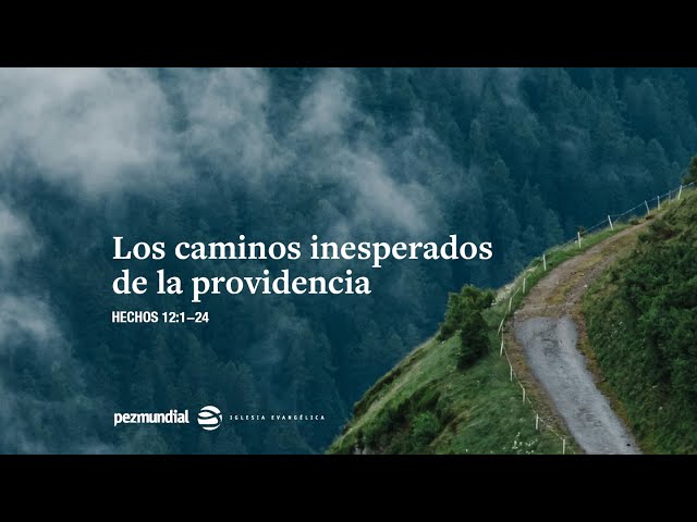 Los caminos inesperados de la providencia
