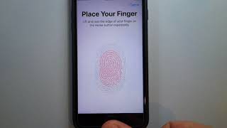 Setting up fingerprint password for iOS