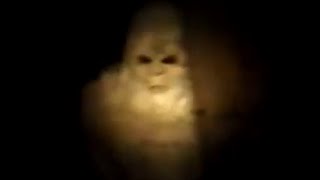 5 Compelling Bigfoot Sightings Caught on Camera