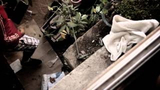 ARTE ELEGANTE - VALORA LA VIDA // AVE FENIX 2013 VIDEO OFICIAL