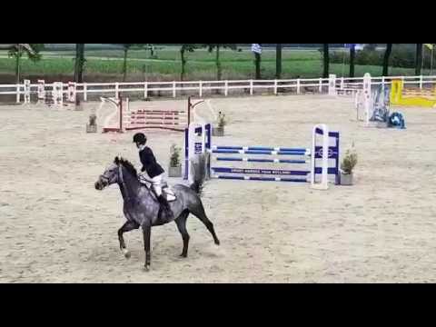 6YO mare by Quality Time - Darco