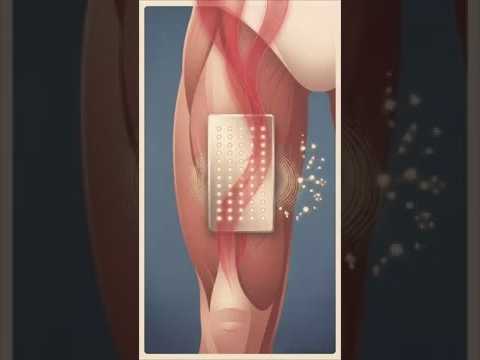 Red Light Therapy Muscle Recovery: How Light Heals Muscle Faster