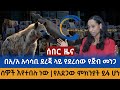 ሰበር ዜና በ አ አ አሳሳቢ ደረጃ ላይ የደረሰው የጅብ መንጋ ነ�