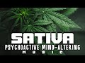 Sativa Psychoactive Mind Altering Music Background
