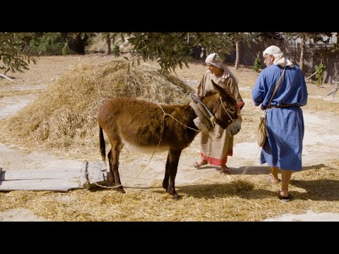 Nazareth the City Where JESUS Grew up - Documentaries, Movies & TV - Appian Media