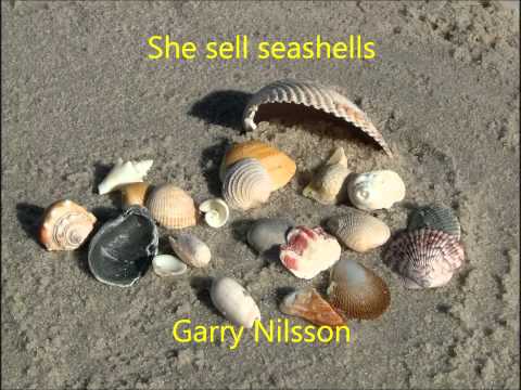 She sell seashells