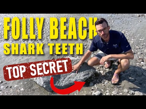 Shark Tooth Hunting the Carolinas: Folly Beach, SC