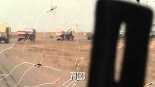 &quot;War Tapes&quot; (2006)...009 Sound System - Born To Be Wasted