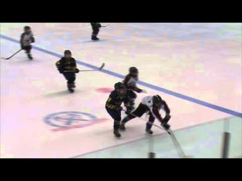 Wings Arlanda - Haninge Anchors