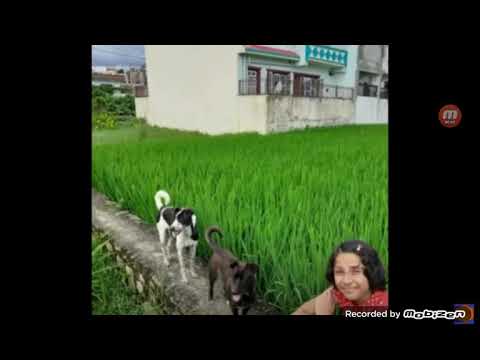 happy birthday sumiran