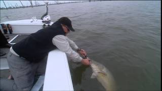 preview picture of video 'Mulwala Murray Cod - Info On Impoundment Fishing for Natives DVD Preview'