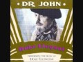 Perdido Street Blues by Dr. John.wmv
