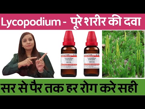 Lycopodium homeopathic medicine | lycopodium 200, lycopodium 30 ke fayde in hindi