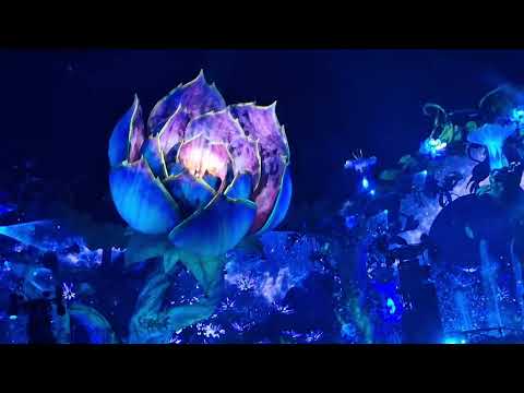 Swedish house mafia intro tomorrowland 2024