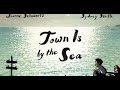 Town is By the Sea by Joanne Schwartz