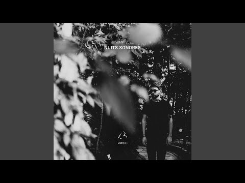 Nuits Sonores