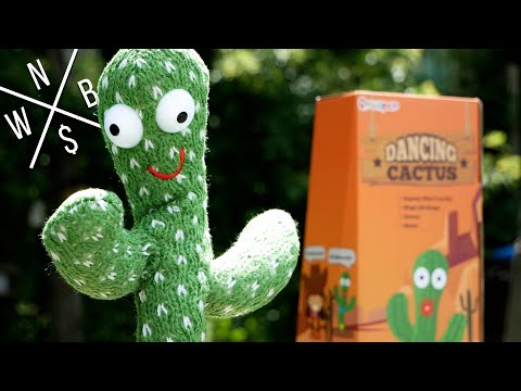 Dancing Cactus Toy