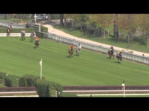 Kobrouk - Prix Congress 2014