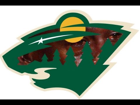 The Minnesota Wild In A Nutshell
