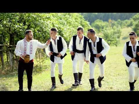 Nicu Netea   Cate fete in sat la noi LIVE