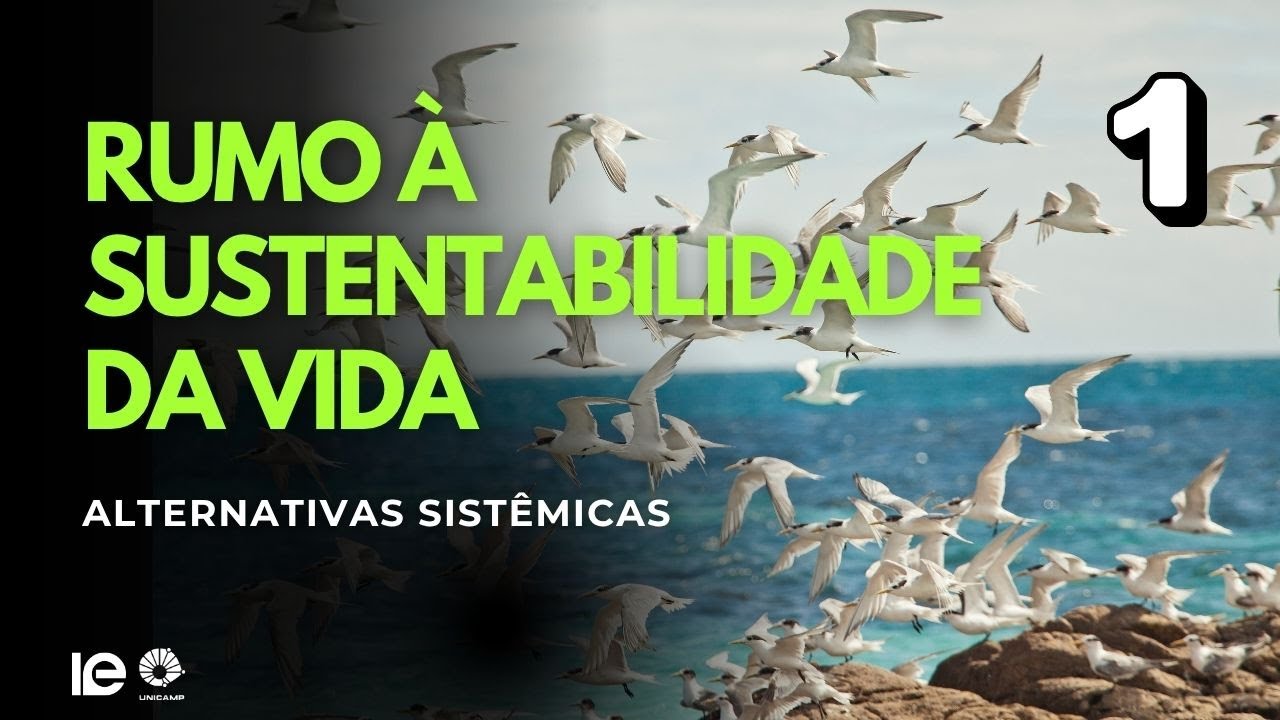 [Socio] bioeconomia na Amazônia