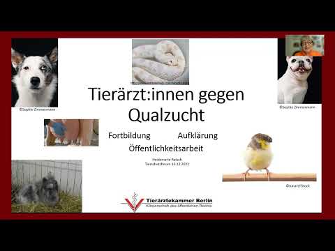 12. Berliner Online Tierschutzforum zum Thema Qualzucht