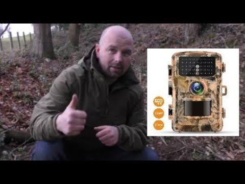 download lagu mp3 mp4 Wildlife Camera, download lagu Wildlife Camera gratis, unduh video klip Wildlife Camera