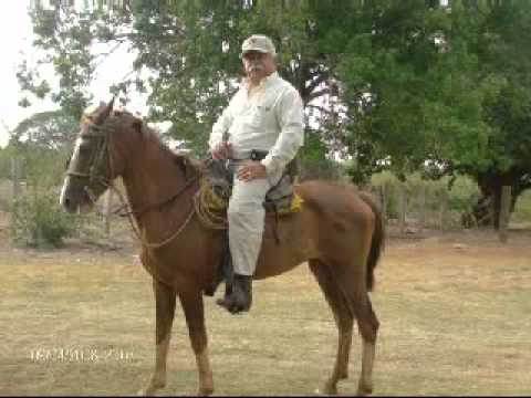 JOSE ALI NIEVES  - LUNA DEL CAPANAPARO