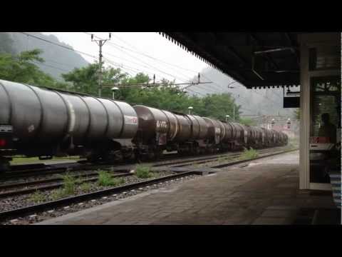 Due mercioni sotto la pioggia.