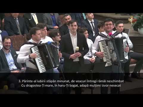 Cu norul iubirii - Beni Cibu, Filip Haprian, Dani Cibu, Eliab Beck