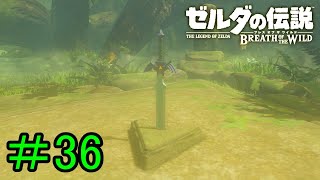 【実況】見落としが多い勇者の冒険part36【ブレスオブザワイルド】