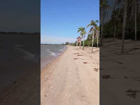 O que chegava de barco em Barra do Ribeiro? 🚢