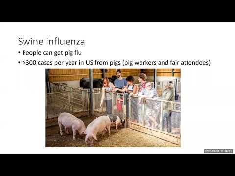 Diseases of Feral Hogs and Other Invasive Mammals