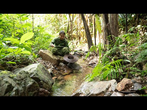 A Simple Day in the Tropical Forest: Fishing, Cooking & Gardening | EP.524