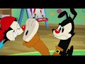 Yakko Warner Toe Wiggle