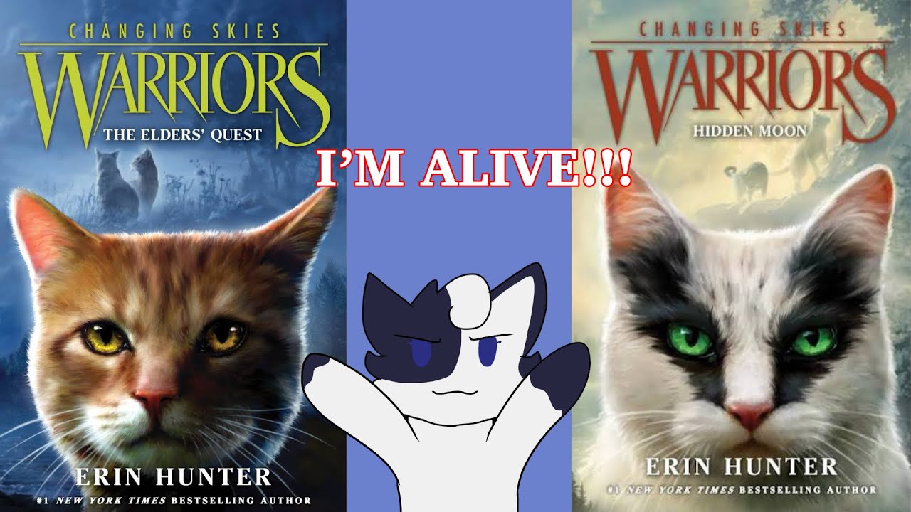 My Opinion on Changing Skies So Far