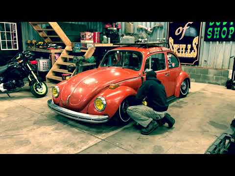 download lagu mp3 mp4 1971 Bug, download lagu 1971 Bug gratis, unduh video klip 1971 Bug