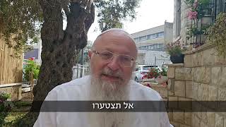 הלב שלהם ממשיך לפעום בתוך העם | הרב שמואל אליהו | הלכה יומית | כ״ט בניסן תשפ״ה (הרב שמואל אליהו) - התמונה מוצגת ישירות מתוך אתר האינטרנט יוטיוב. זכויות היוצרים בתמונה שייכות ליוצרה. קישור קרדיט למקור התוכן נמצא בתוך דף הסרטון