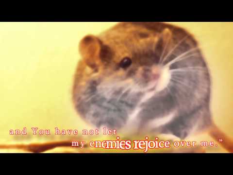 Perek Shirah - Nature's Song - Mouse Scene