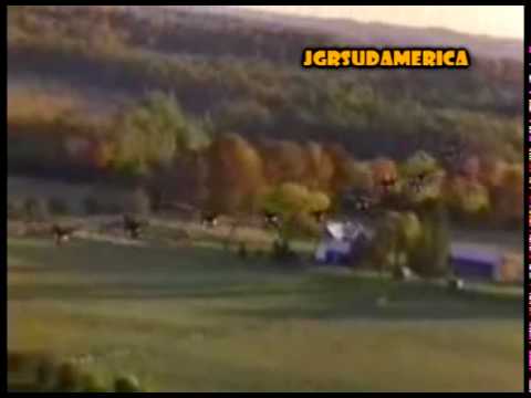 El vuelo de los gansos - JGRFRIEND