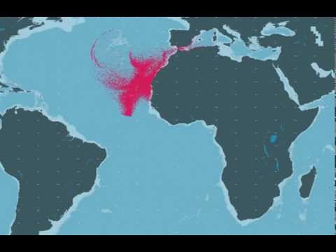 #vvor 2014 leg1 with bg