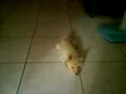 卡到陰嘛= =(原發表者:錢錢麻)(體能訓練)