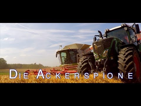 Ernte 2019 / Claas Lexion 770 im Weizen / Fendt 939